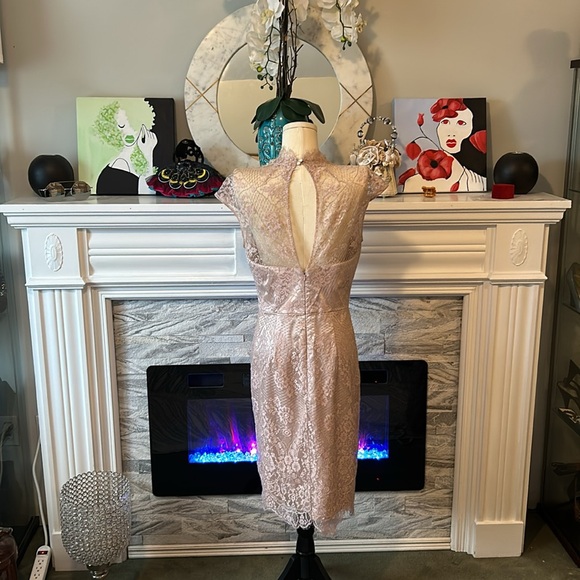 Theia size 8 formal wear, pink silk and lace midi length with keyhole back - Picture 2 of 8